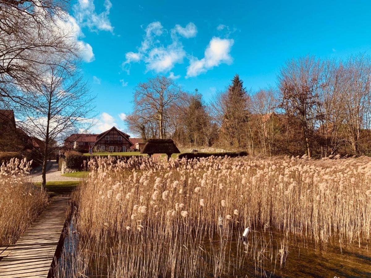 Seehotel Zarrentin Zarrentin am Schaalsee Zewnętrze zdjęcie
